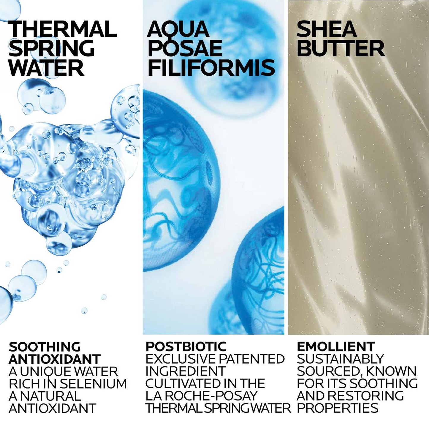 lipikar-wash-ap-moisturizing-body-and-face-wash-m5 Lipikar-Wash-ingredients_1500x1500-REV.jpg